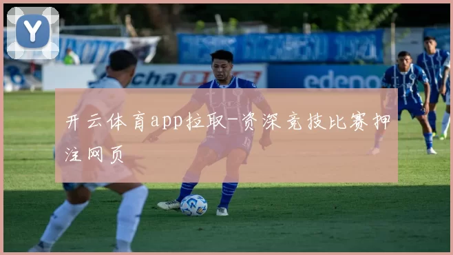 开云体育app拉取-资深竞技比赛押注网页