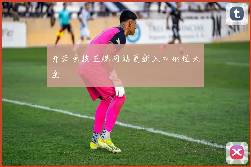 开云竞技正规网站更新入口地址大全