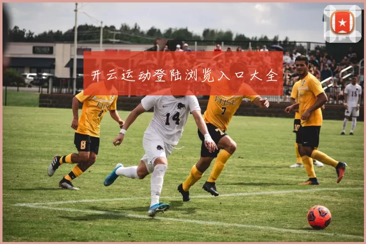 开云运动登陆浏览入口大全