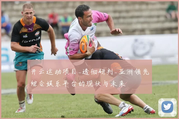 开云运动项目_透彻研判_亚洲领先综合娱乐平台的现状与未来