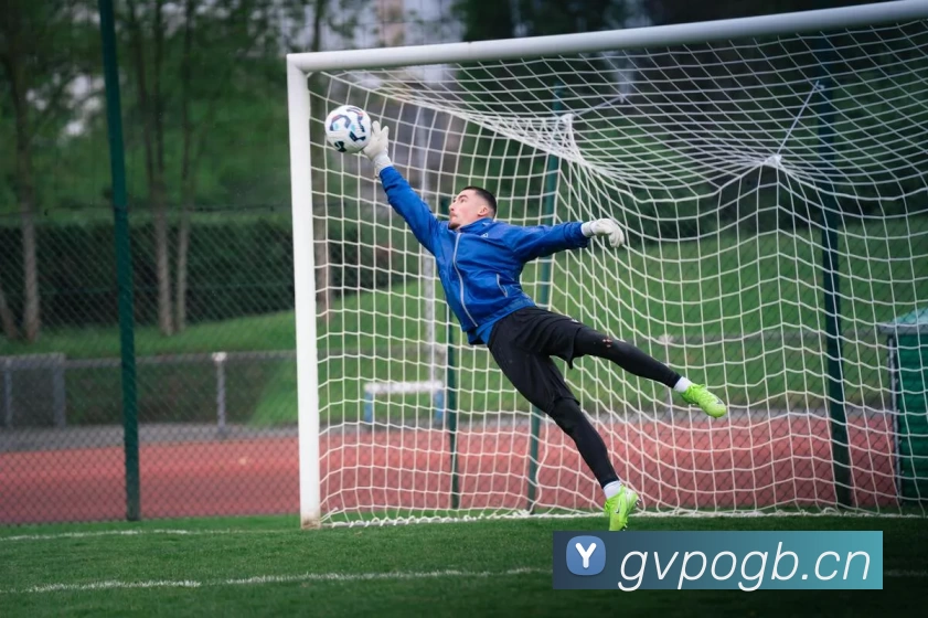 开云登录APP 封面图